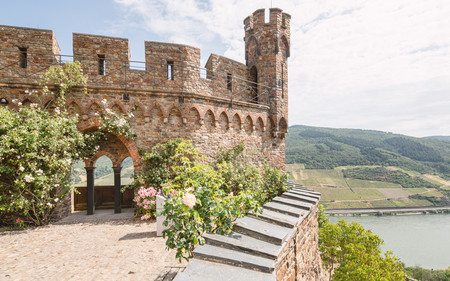 Außenbereich mit Rosen und Blick auf den Rhein von der Burg Sooneck