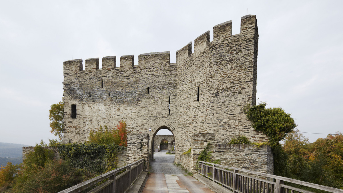 Burg Sterrenberg Sterrenberg – eine Reichsburg am oberen Mittelrhein im Kontext zur umgebenden Burgenlandschaft-