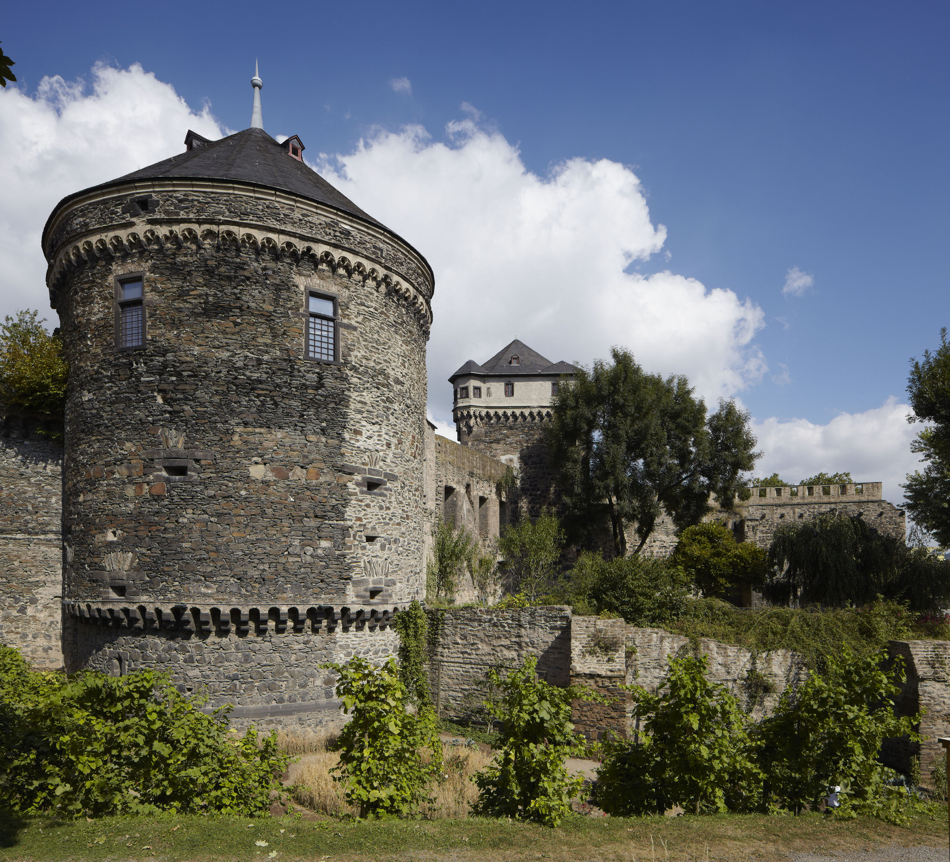 Burgruine Andernach