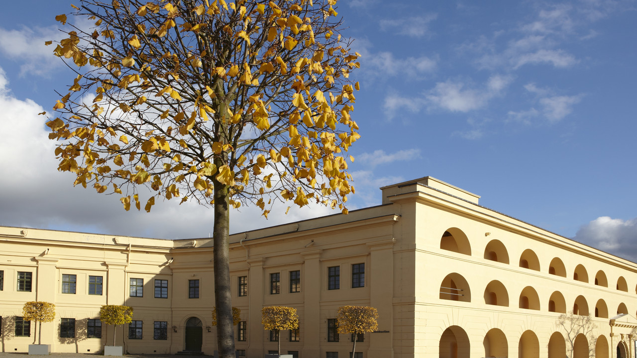 Blick auf die herbstliche Rheinbastion und die Kurtine