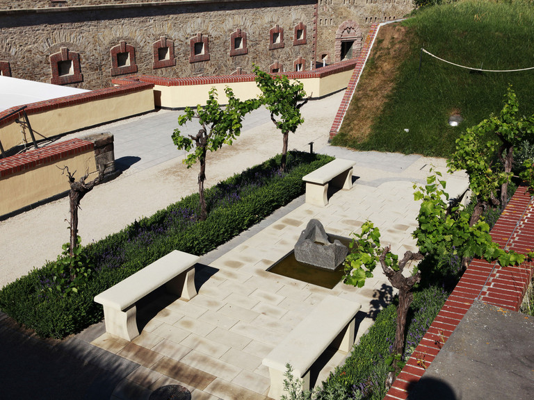 Knackig - saftig - grün Knackig - saftig - grün